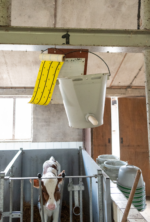 Knock Pest Fly Roll Yellow 5 m - Image 2