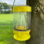 Knock Pest Fly trap XL - Image 2