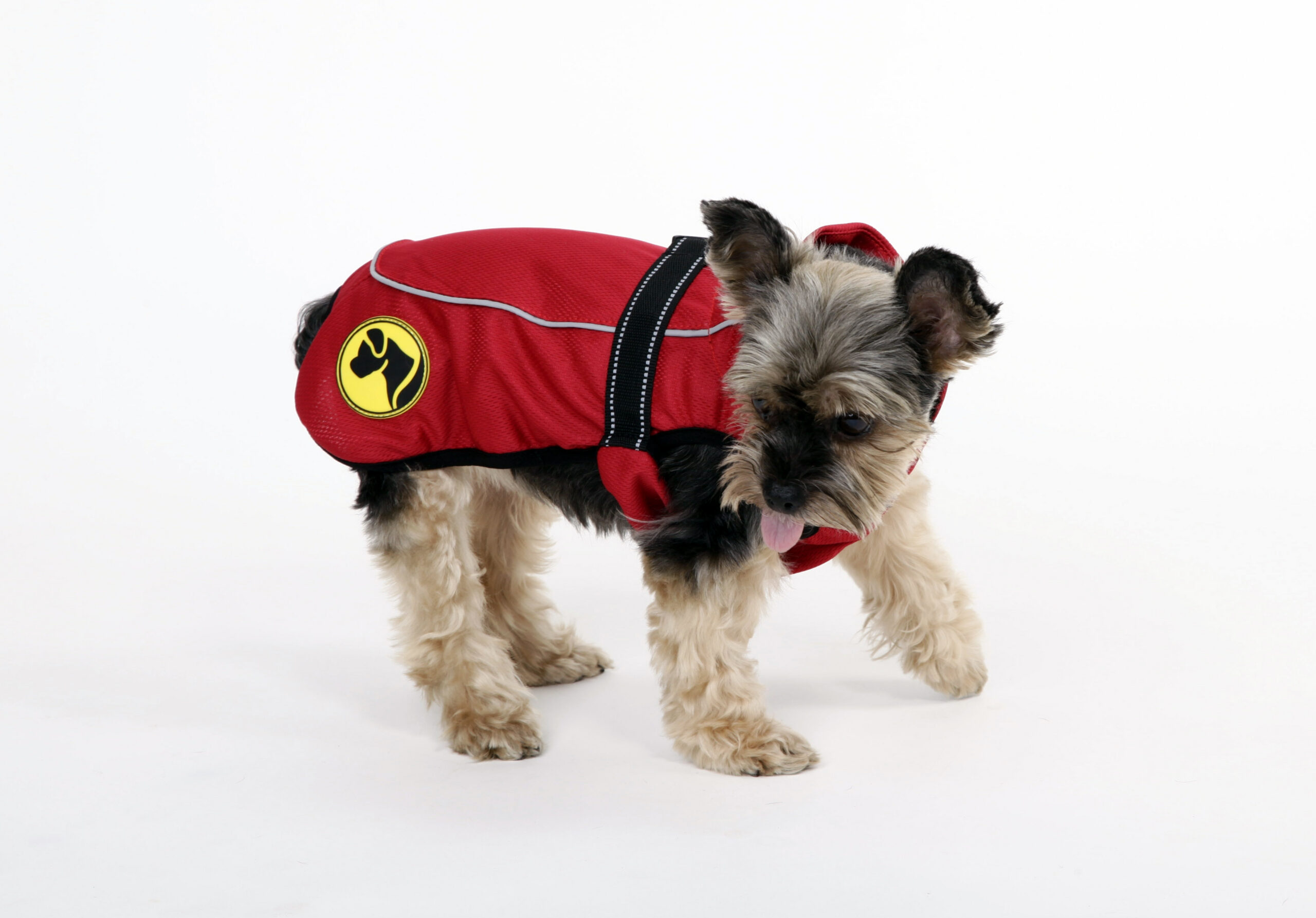 Dog Armor Knockdown Coat (Insect Shield) XXXXS (20cm backlength)