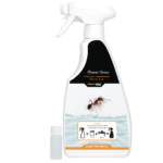 Knock Pest Ants Spray