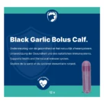 Excellent Black Garlic Bolus Calf - Image 3