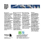 Excellent Black Garlic Bolus Calf - Image 4