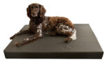 HD Dog Bed XL - Image 2