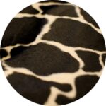 HD Cat Bed Giraffe 45x55cm - Image 3