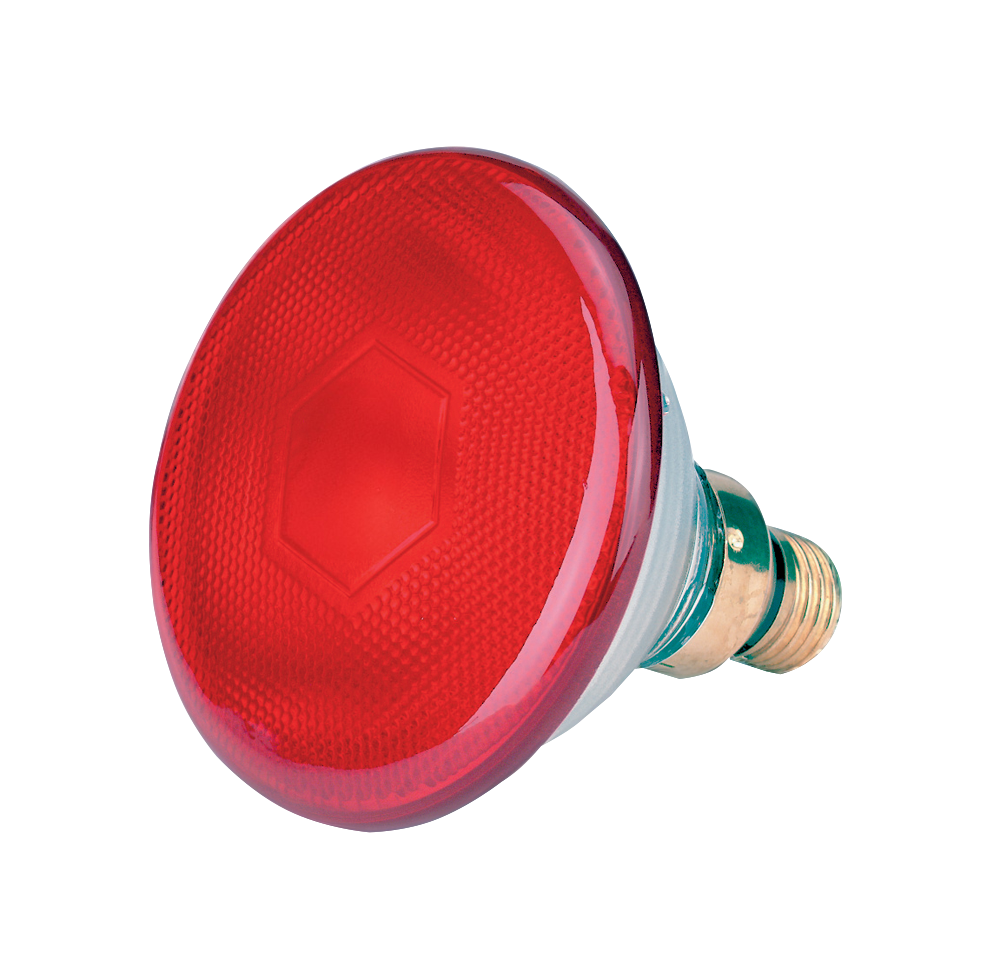 Energy Saving Lamp 100 W - Red