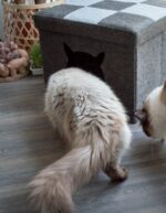 Let's sleep Pet Cube Light/Dark Grey - Image 5