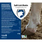 Excellent Salt Lick Biotin 10 kg - Image 3
