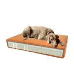 Madison Orthopedic Cushion Velvet Orange S