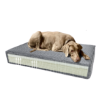 Madison Orthopedic Cushion Velvet Orange S - Image 4