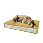 Madison Orthopedic Cushion Velvet Yellow S - Image 2