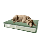 Madison Orthopedic Cushion Velvet Green S - Image 4