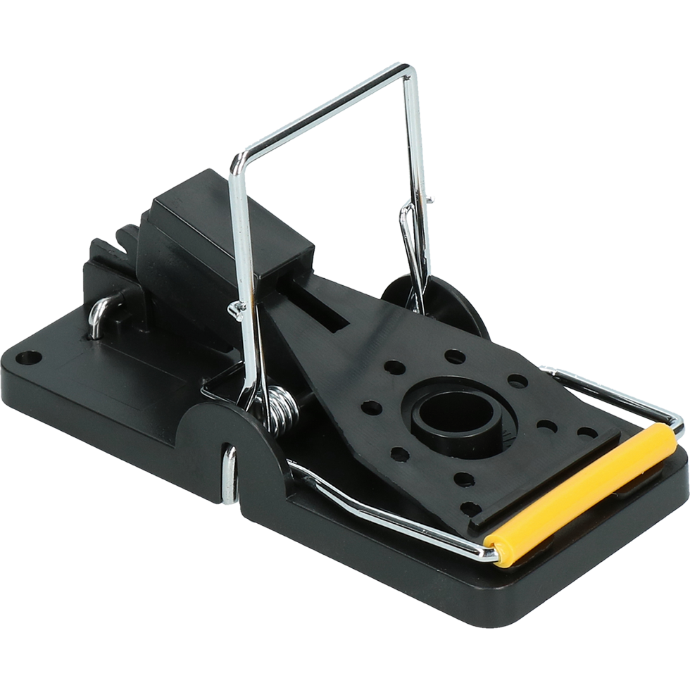 Snap-A-Mouse Mouse Trap