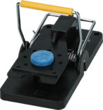 NARA Lure Vanilla - Image 2