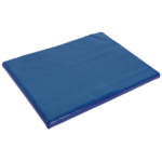 Disinfection mat 55x45x3 cm