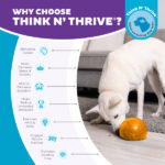 Outward Hound Orbee-Tuff Snoop L Orange - Image 2