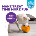 Outward Hound Orbee-Tuff Snoop L Orange - Image 3