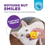 Outward Hound Orbee-Tuff Nooks Yellow - Image 4