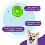 Outward Hound Orbee-Tuff Snoop L Green - Image 5