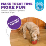 Outward Hound Orbee-Tuff Snoop S Red (Lil' Snoop) - Image 4