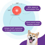 Outward Hound Orbee-Tuff Snoop S Red (Lil' Snoop) - Image 5