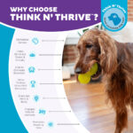 Outward Hound Double-Tuff L Green - Image 4