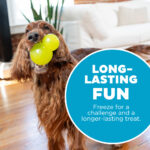 Outward Hound Double-Tuff L Green - Image 6