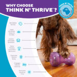 Outward Hound Double Snoop Purple - Image 6