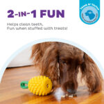 Outward Hound Dental Pineapple - Image 4