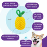 Outward Hound Dental Pineapple - Image 5