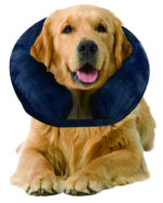 Pawise Inflatable Protective Collar M - Image 2