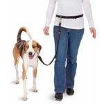 Pawise Hands Free Doggy Jogger Kit - Image 3