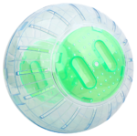 Pawise Exercise Ball L - 25 cm