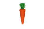 Pawise Play & Chew Carrot - Image 3