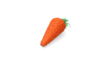 Pawise Play & Chew Carrot