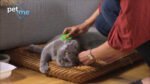 Pet+Me Cat Hair Brush Long hair Green - Image 5