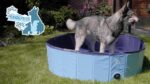 CoolPets Splash Dog Pool ø 80 x 20 cm - Image 2