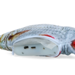 Robocat Fish Roach - Image 3