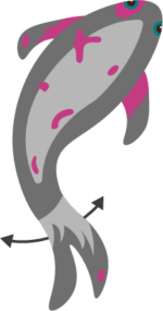 Robocat Fish Roach - Image 5