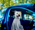 Royal Dry Doggy Bag Drying Bag M - Image 3