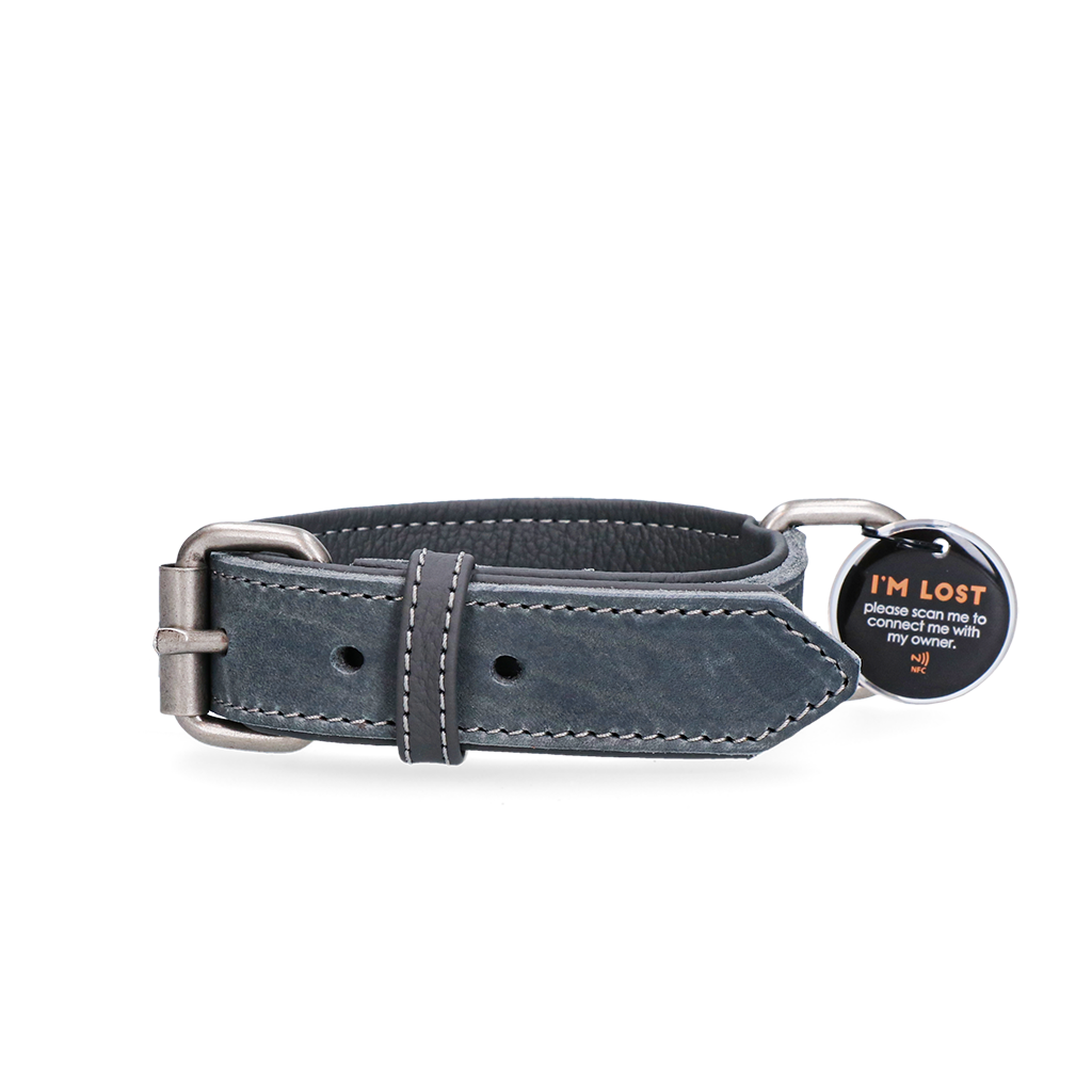 Spotted! Pro Leather Collar Grey 2.5 x 45 cm