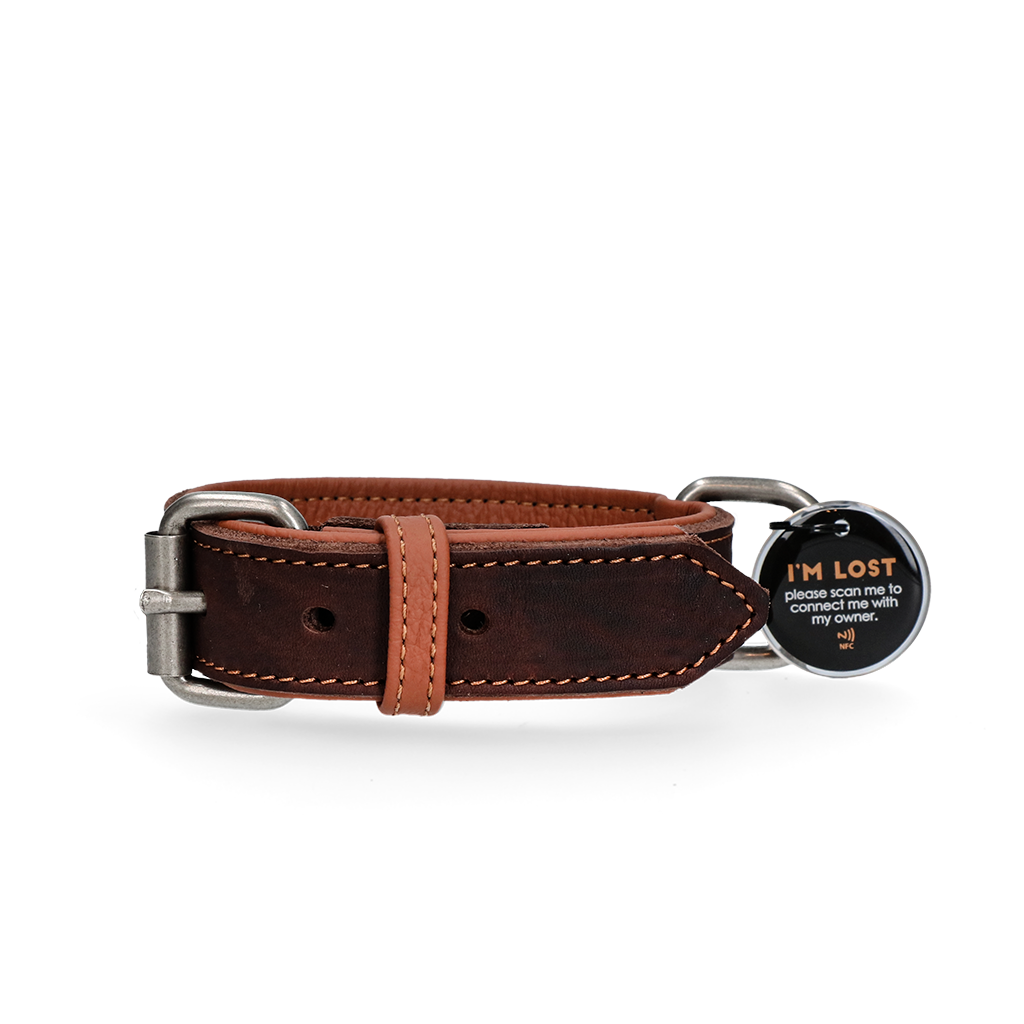 Spotted! Pro Leather Collar Brown 2.5 x 50 cm