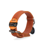 Spotted! Pro Leather Collar Cognac 3 x 60 cm - Image 3