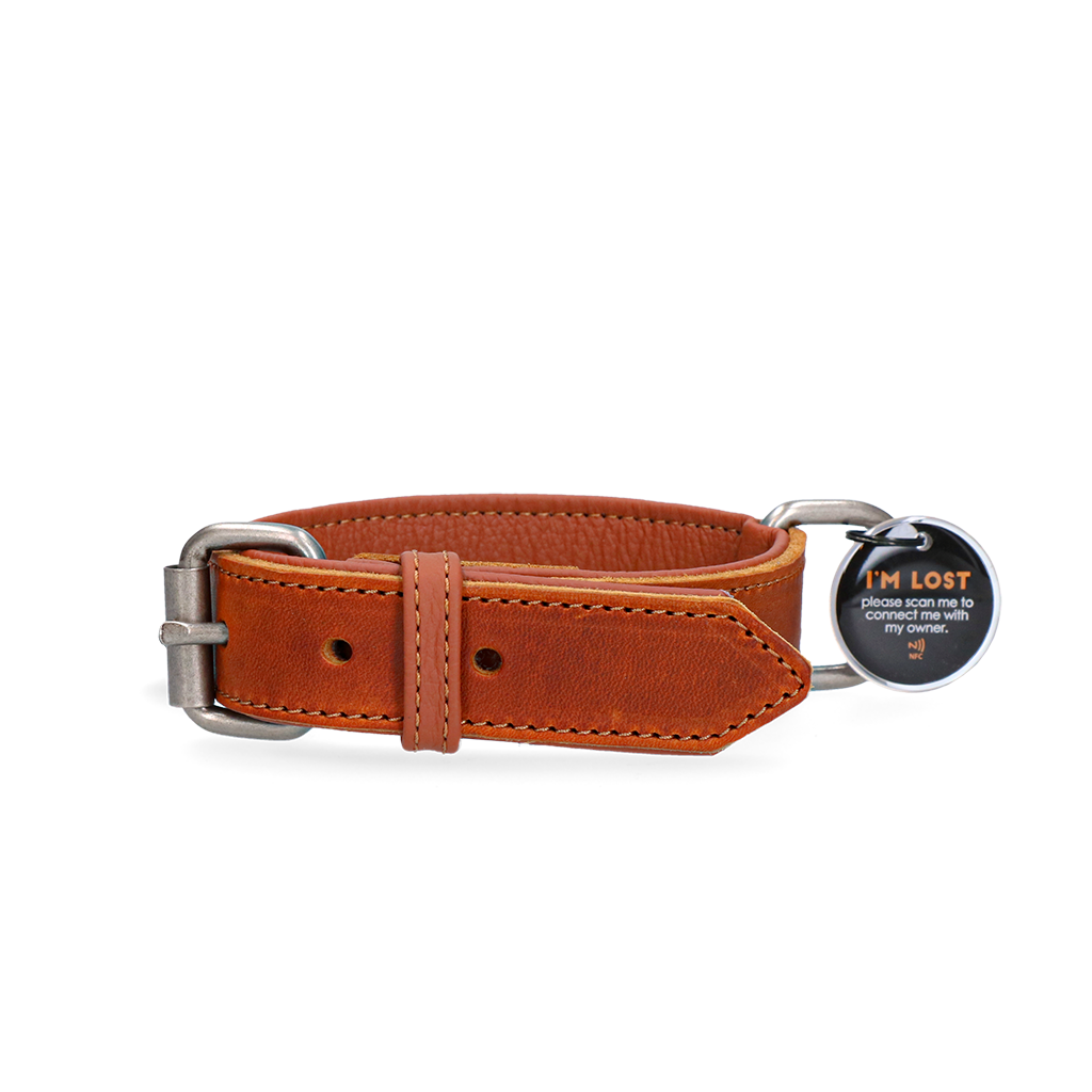 SPOT0030D Spotted! Pro Leather Collar Cognac 2.5 x 40 cm - Image 1