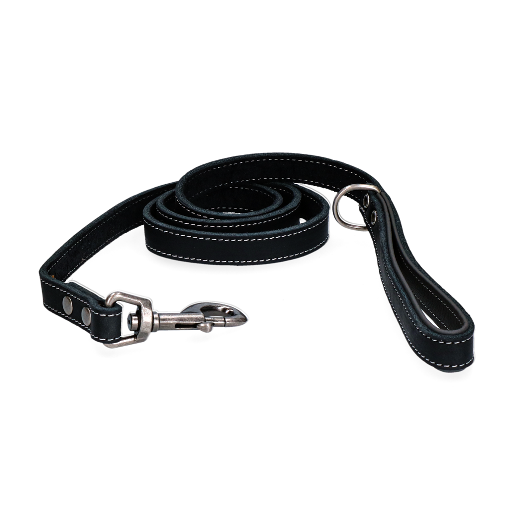 Spotted! Pro Leather Dog Leash Black