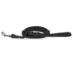 Spotted! Pro Leather Show Leash Black 1.2 x 180cm (Bolt Snap)