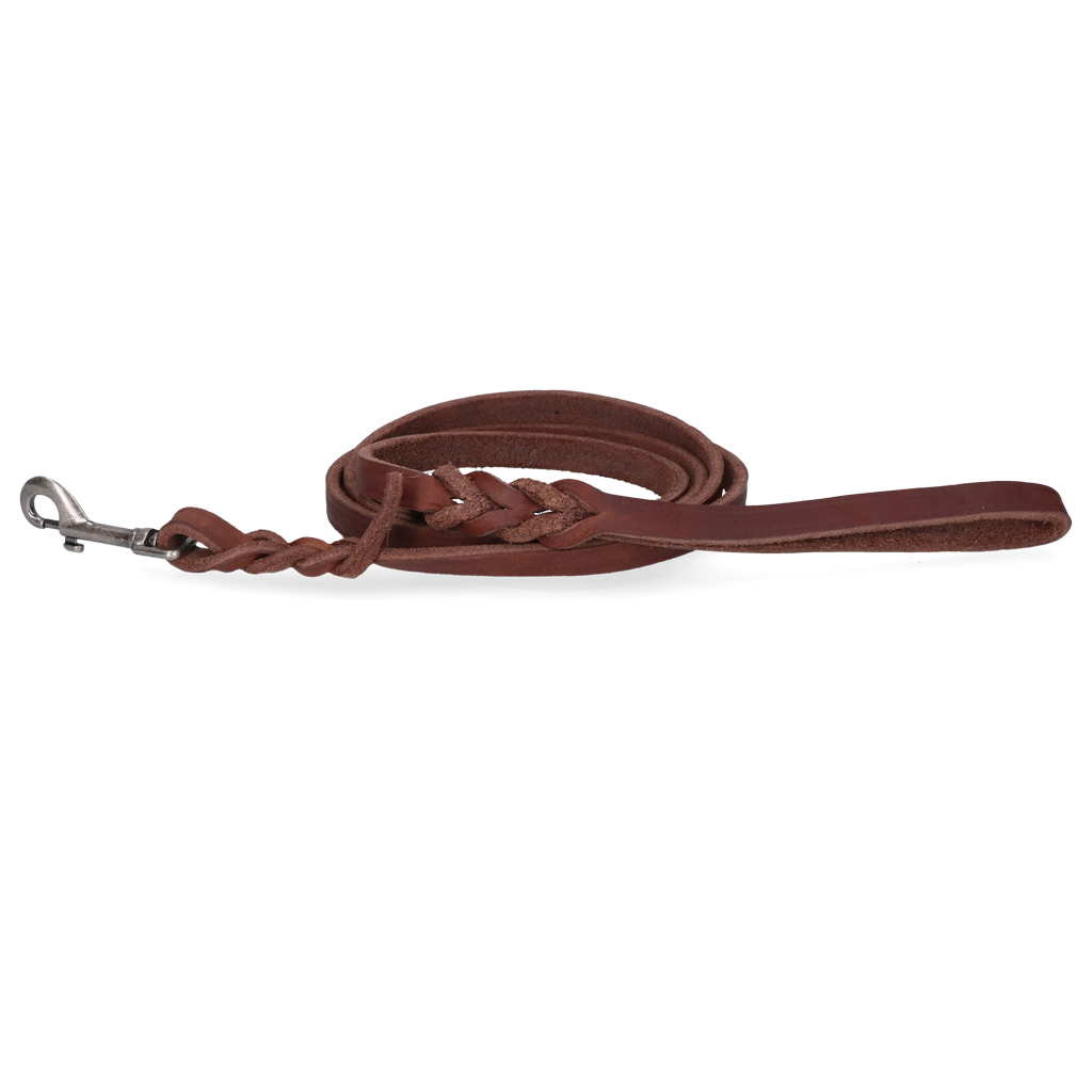 Spotted! Pro Leather Show Leash Brown 1.8 x 180 cm (Bolt Snap)
