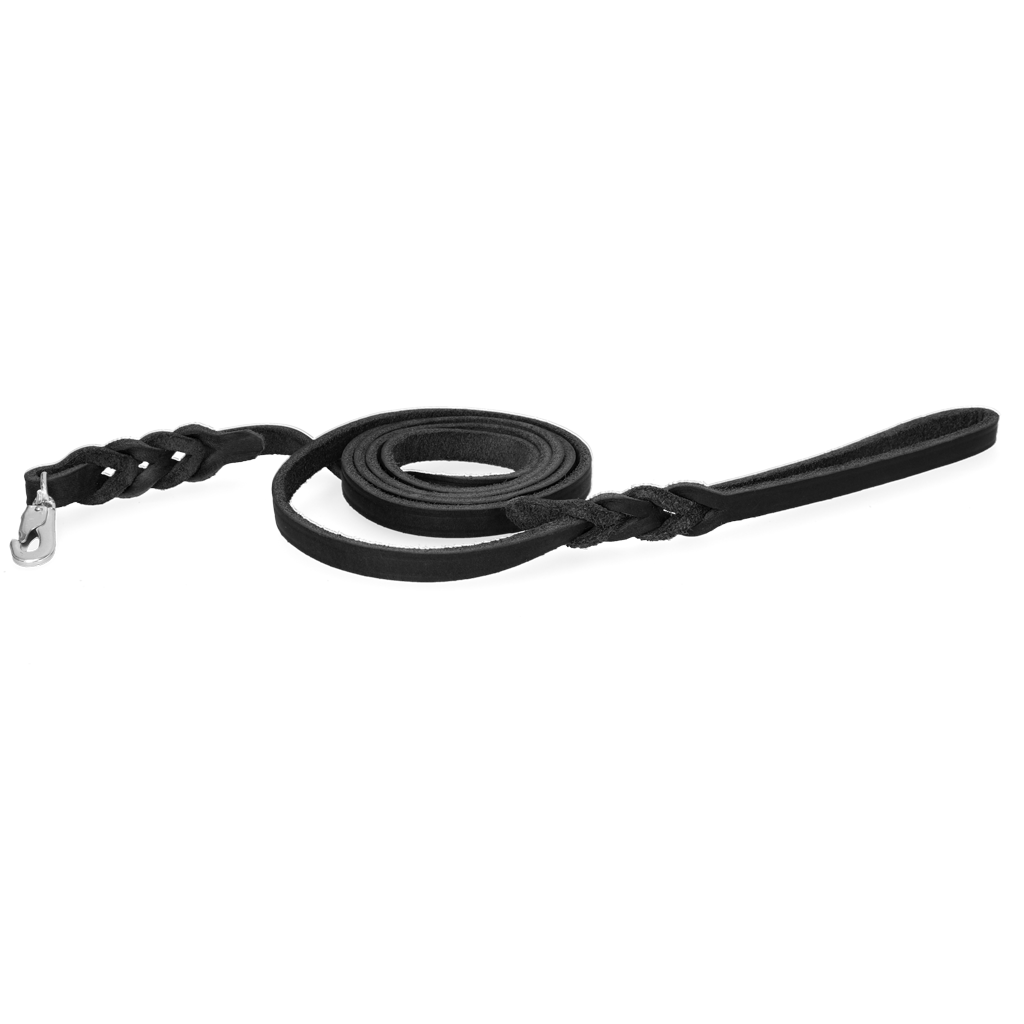 Spotted! Pro Leather Show Leash Black 1.2 x 180 cm (Clip Hook)