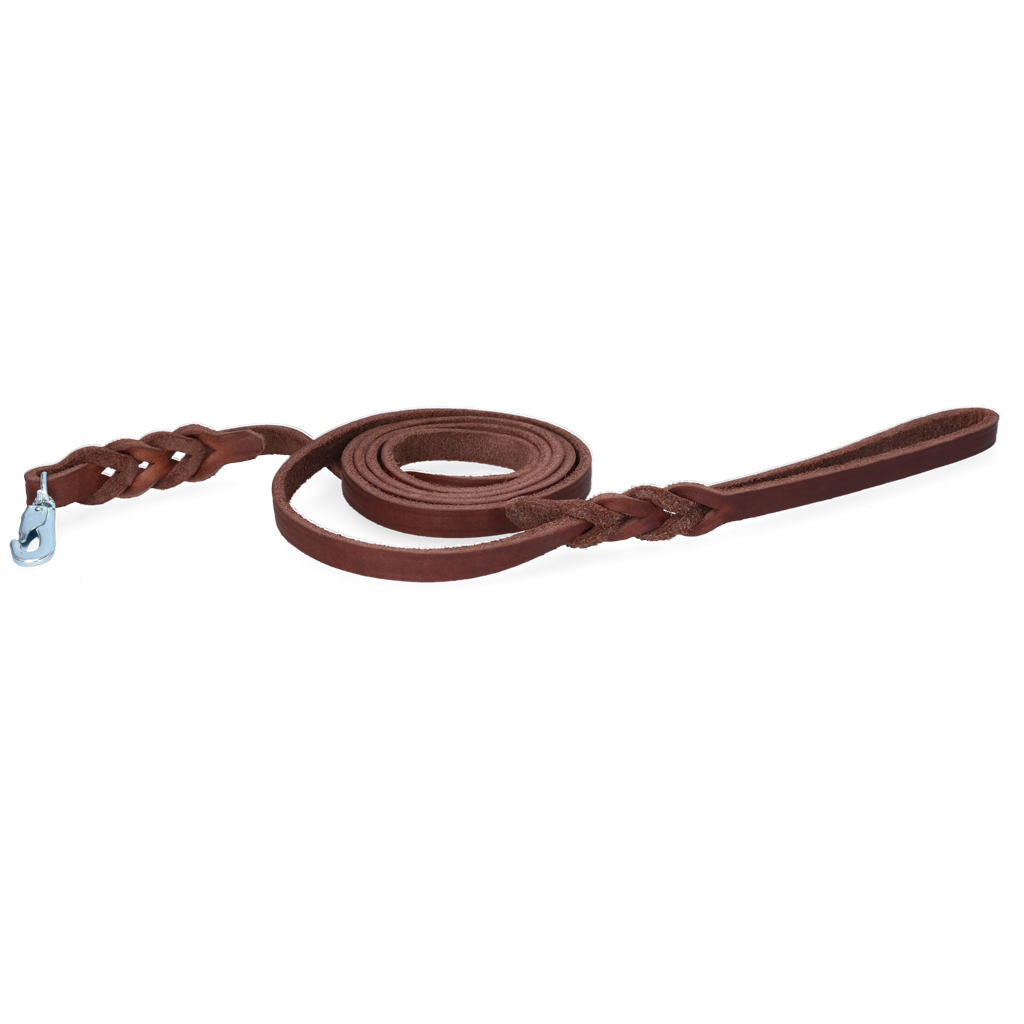 Spotted! Pro Leather Show Leash Brown 1.2 x 180 cm (Clip Hook)