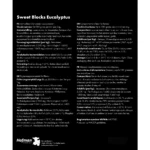 Excellent Horse Sweet Blocks Eucalyptus 3 kg - Image 4