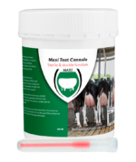 Excellent Maxi Teat Cannula 55 mm 20 pcs